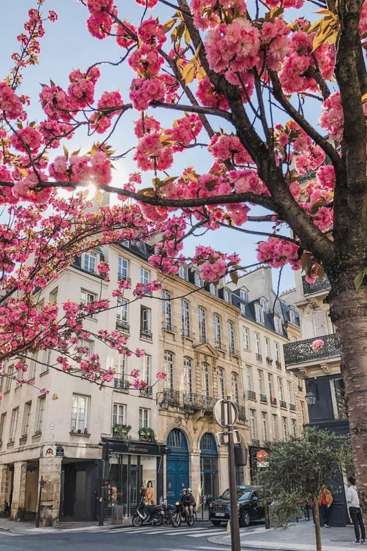 The Spring Guide to the Perfect Self-Care Night