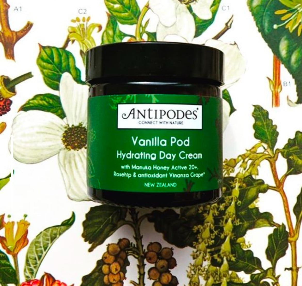 Antipodes Hydrating Day Cream Vanilla Pod